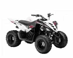 YFM 90 Raptor (09-12) YFM 90 Raptor (09-12)